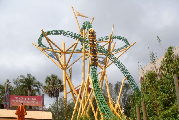 Cheetah Hunt (image courtesy of Wikimedia Commons)