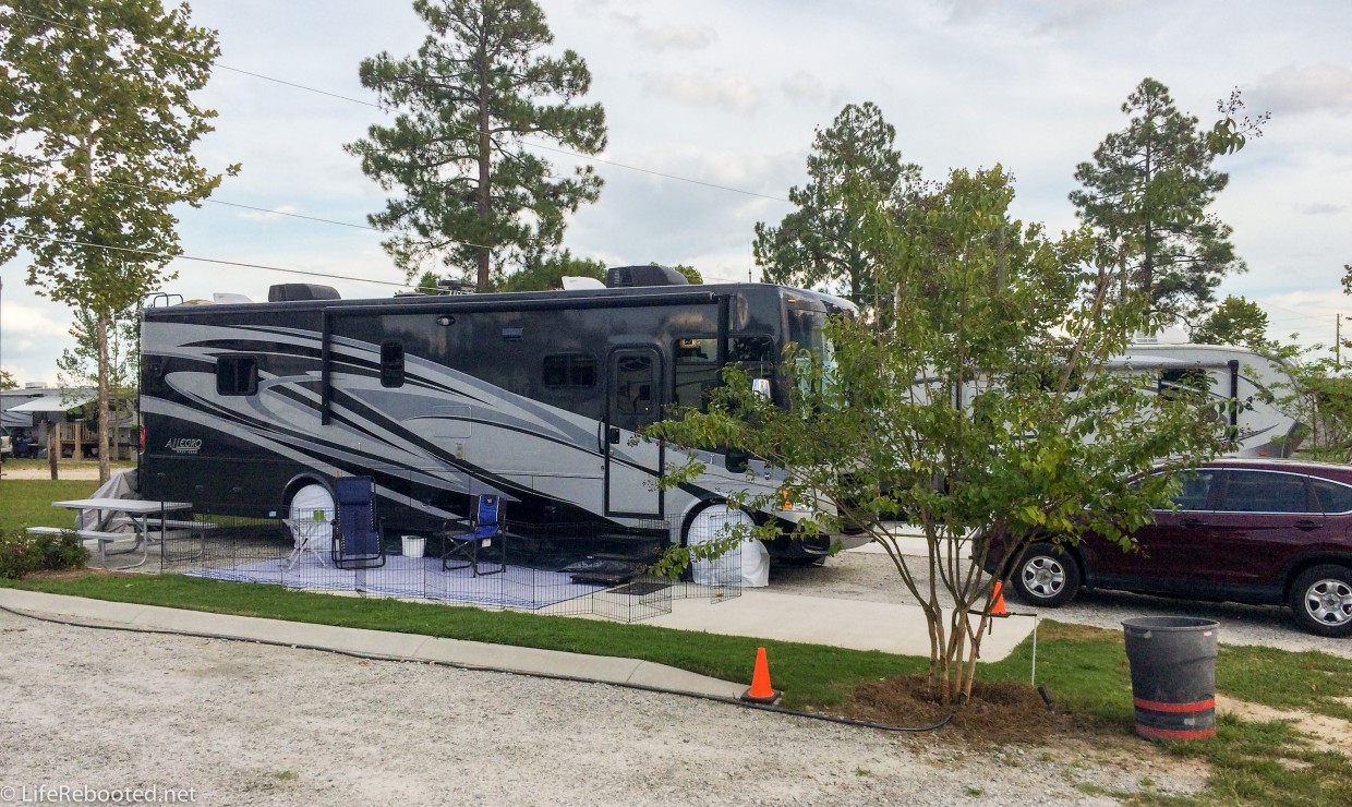 Rover's spot in Augusta GA