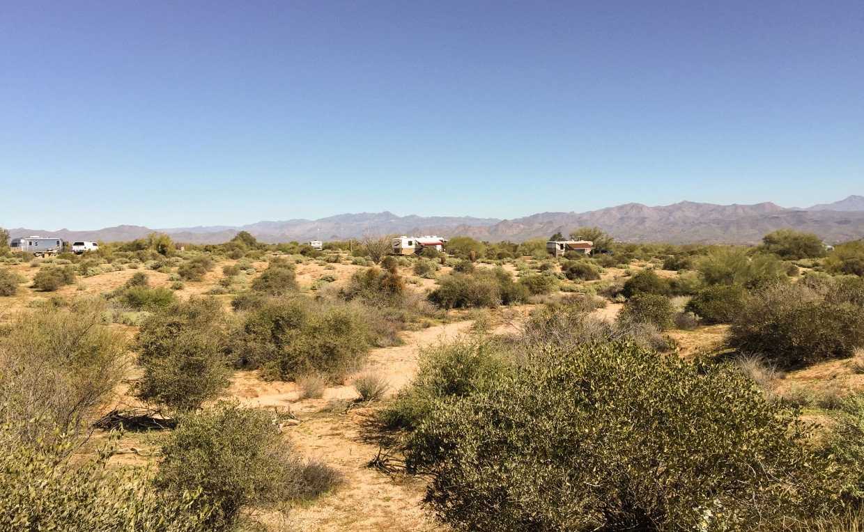 We really enjoyed McDowell Mountain's spacious campsites and miles of trails.