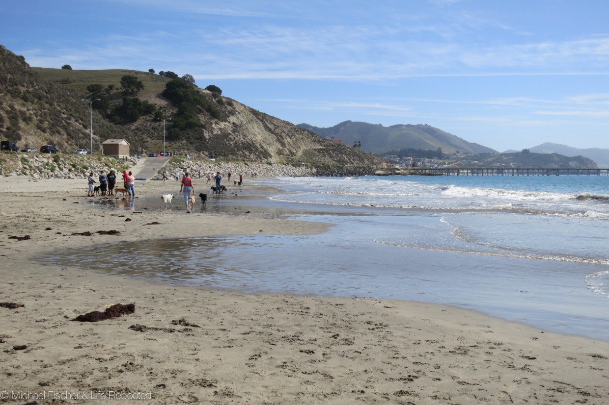 Strolling along the dog section of Avila Beach.