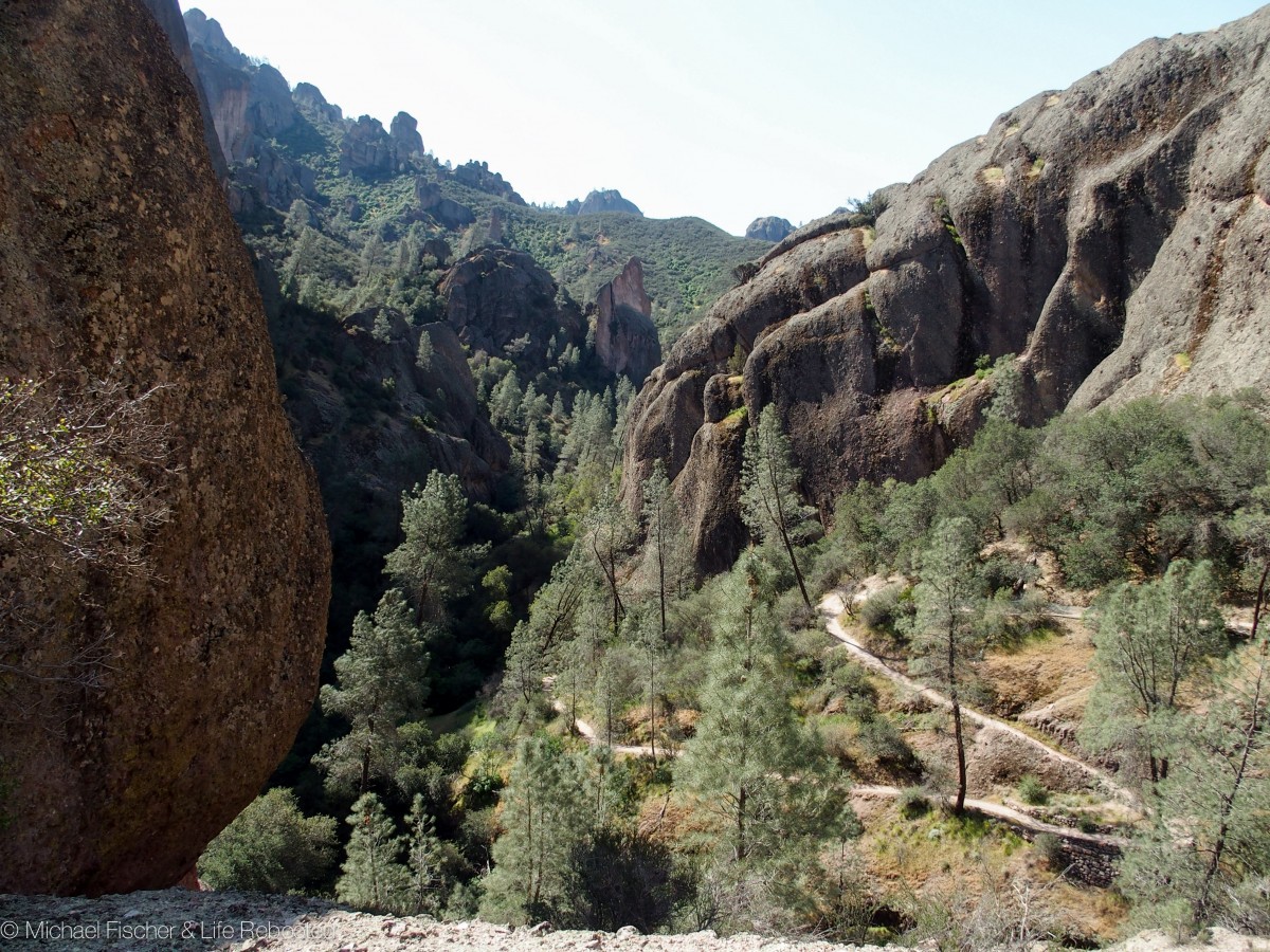Looking back at our trail