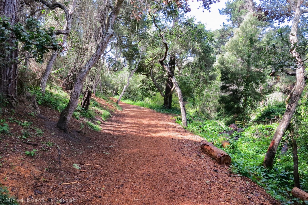 Mission Trail Park