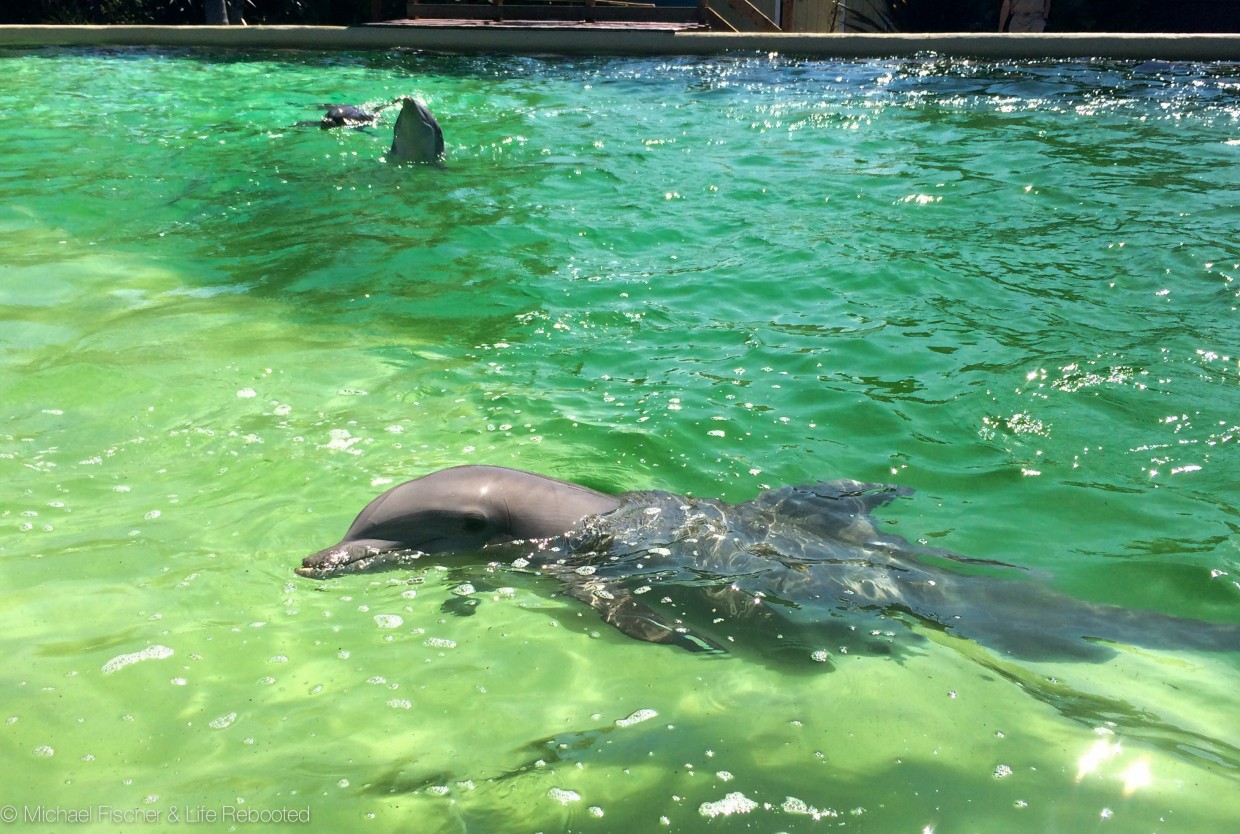 Six Flags Discovery Kingdom