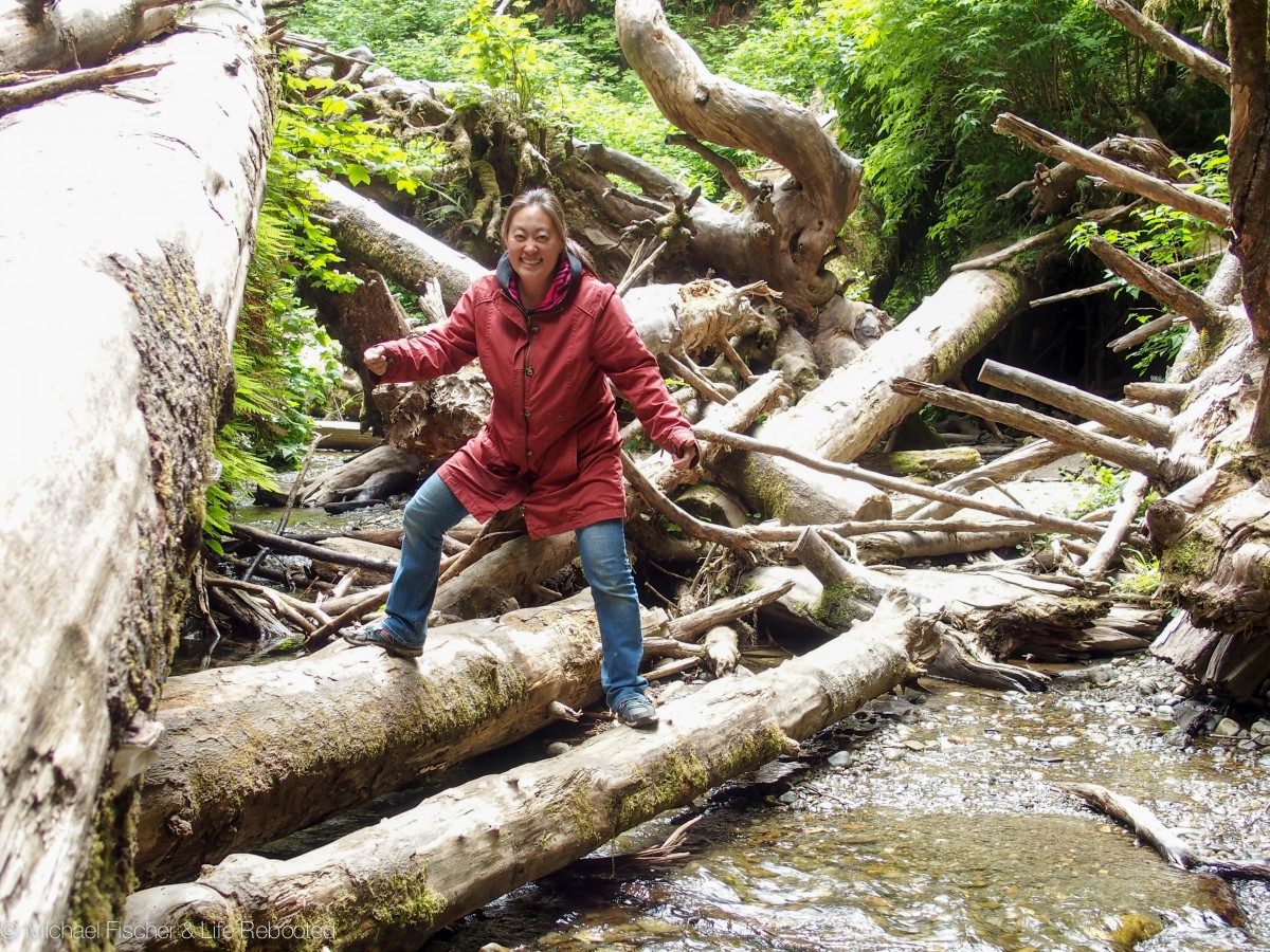Scrambling over a logjam at Fern Canyon