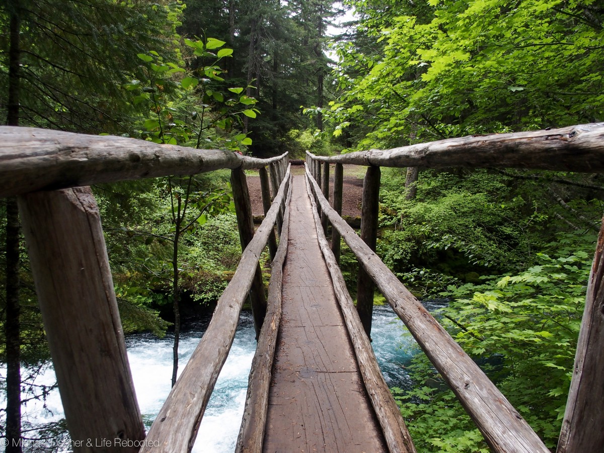 Tree bridge