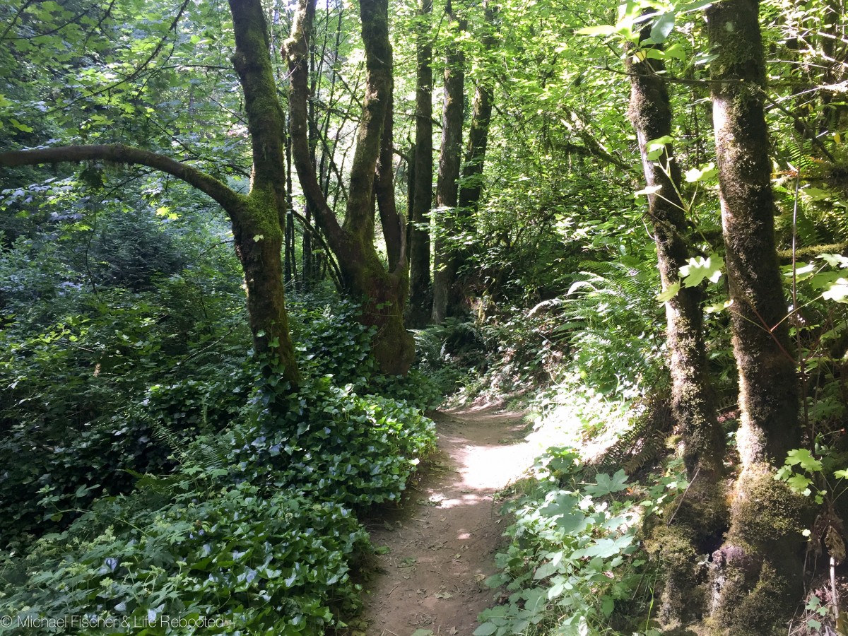 The 'trail' part of the 4T loop.