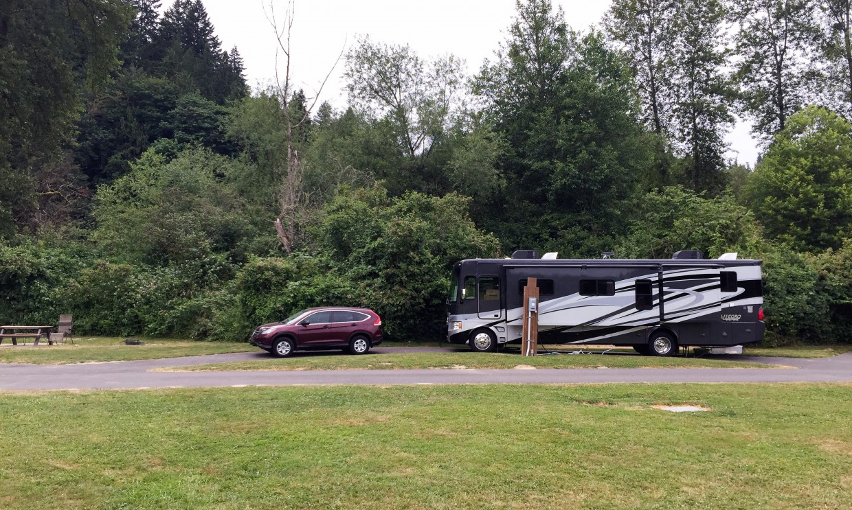 Rover and Red at our awesome campsite