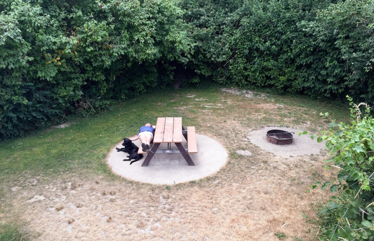 Our own completely private yard