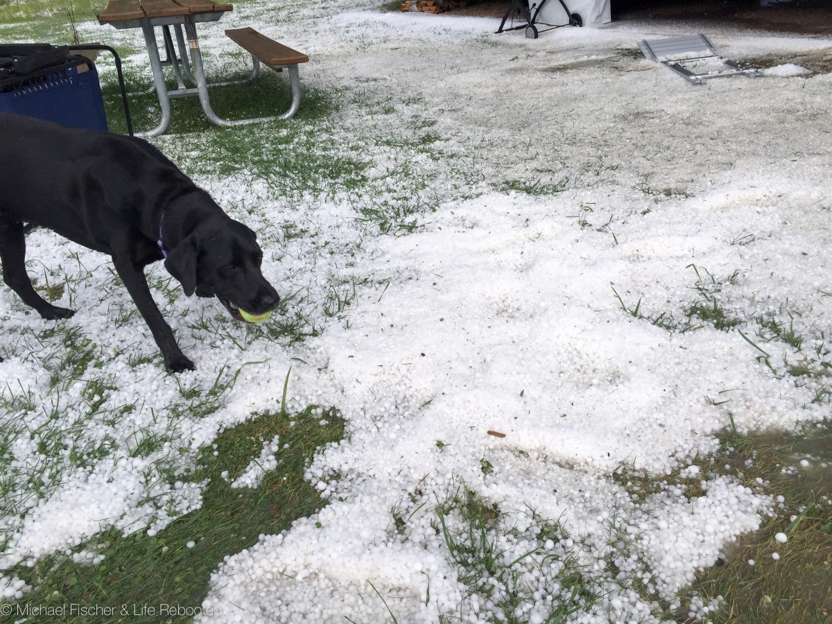 Opie doesn't seem to think anything is out of the ordinary