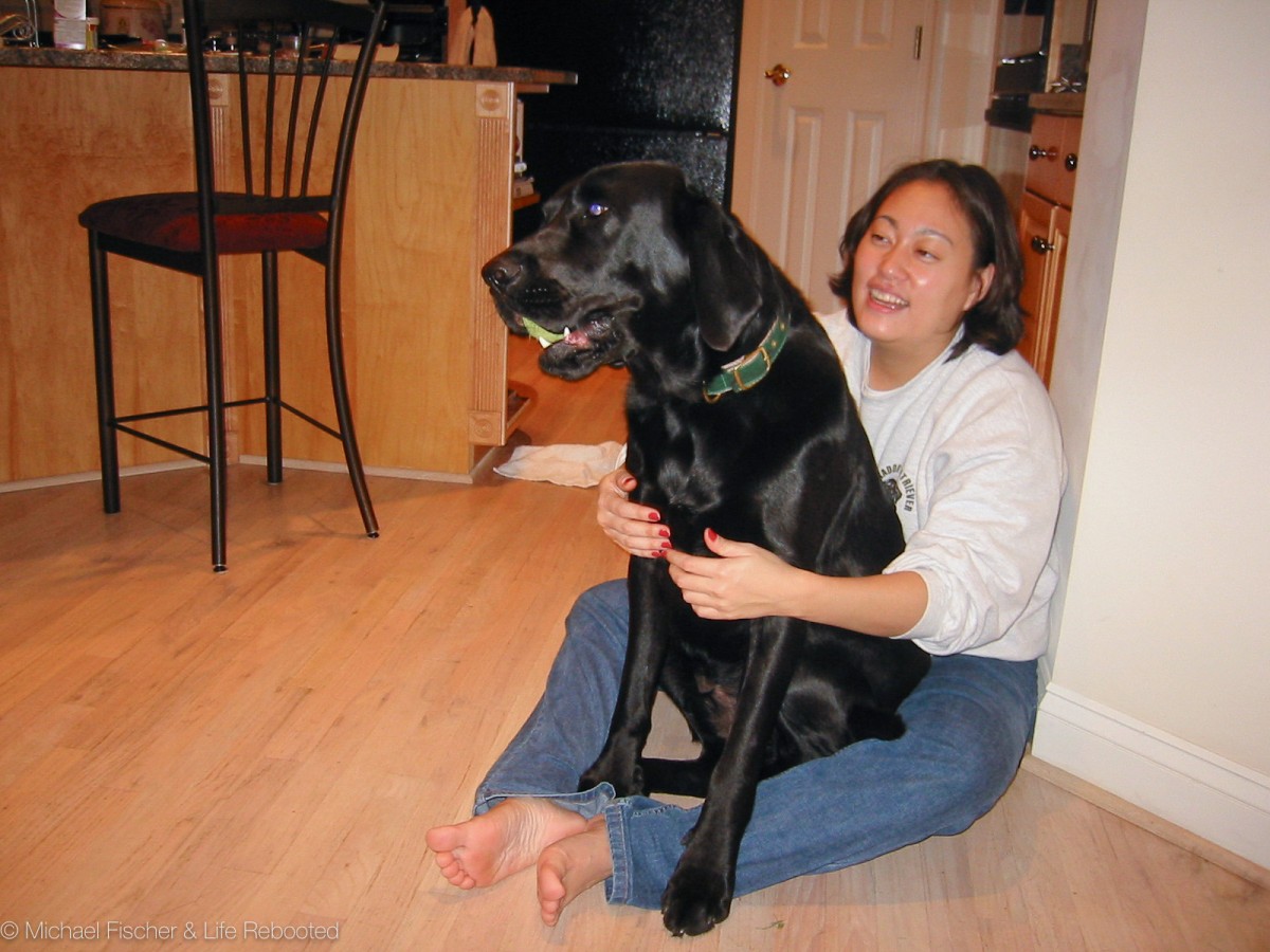 Foster dog Max in 2004, before we adopted him.