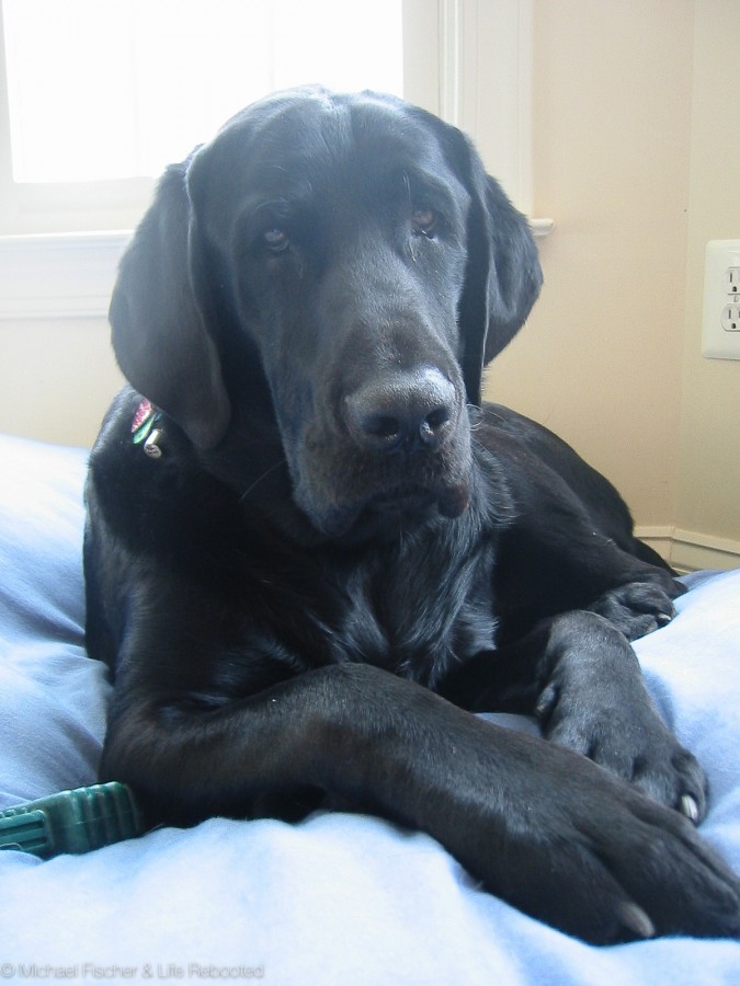 What a face!