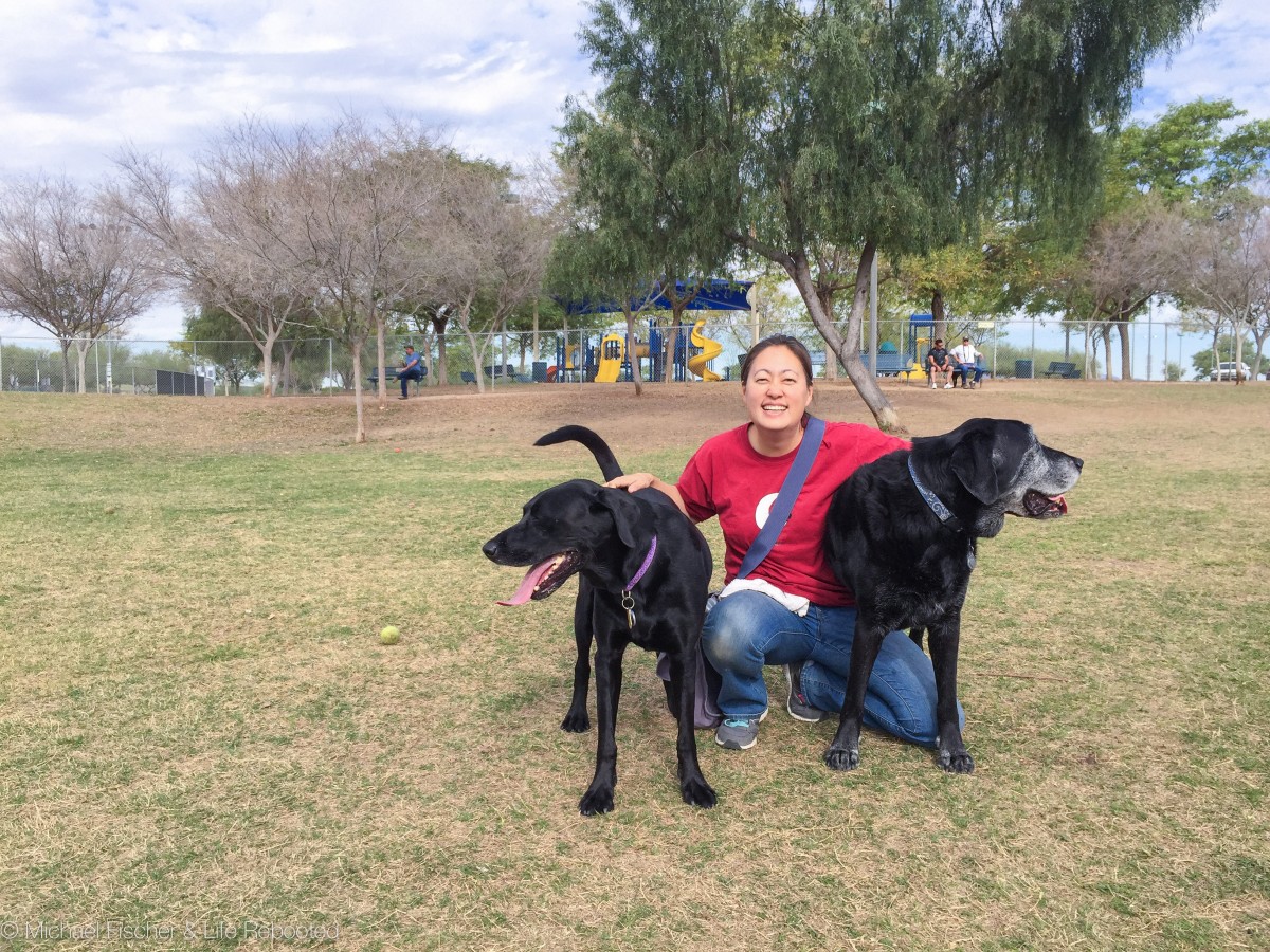 Quail Run Dog Park, Mesa AZ