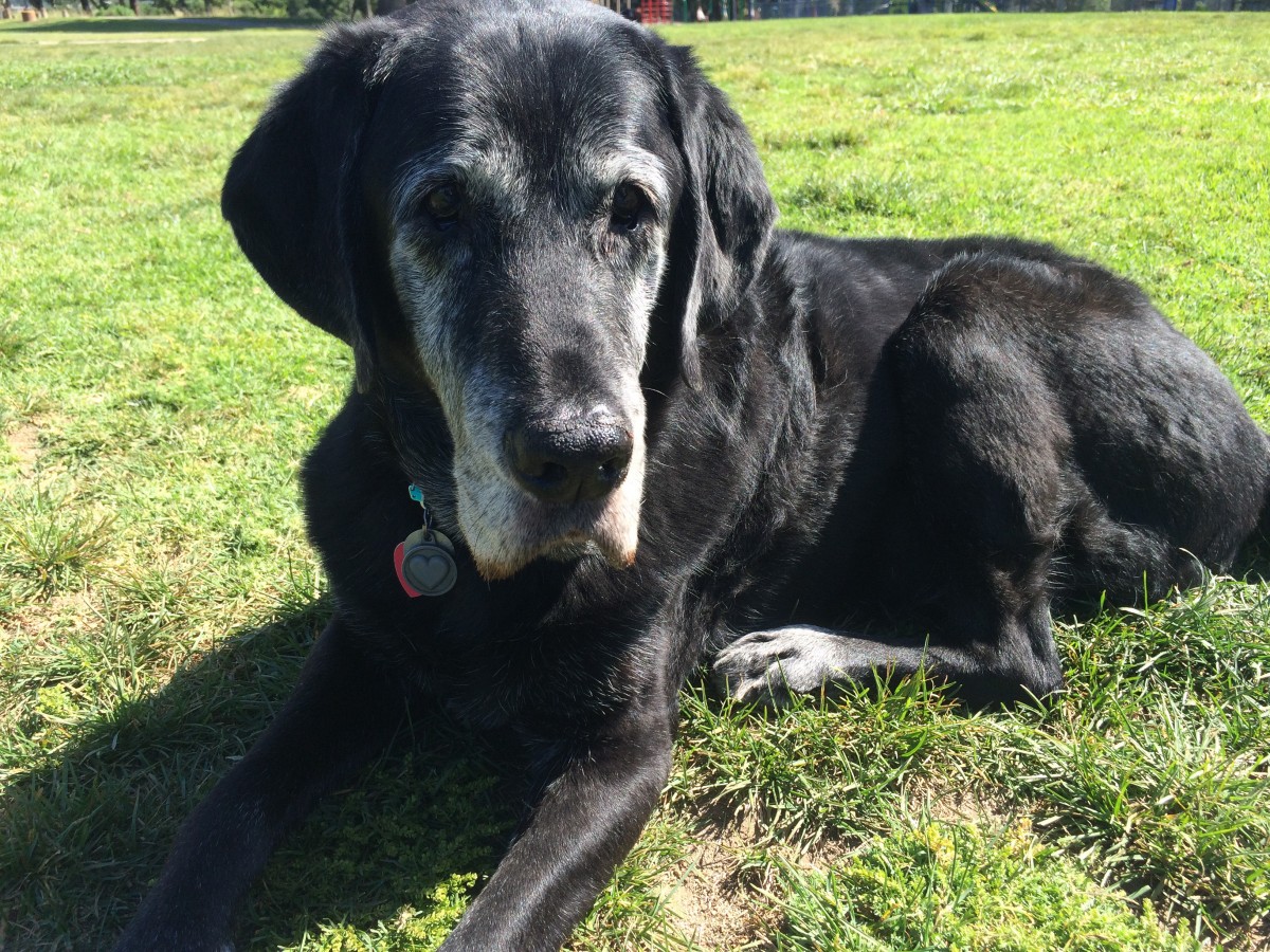 We still think about Max almost daily...