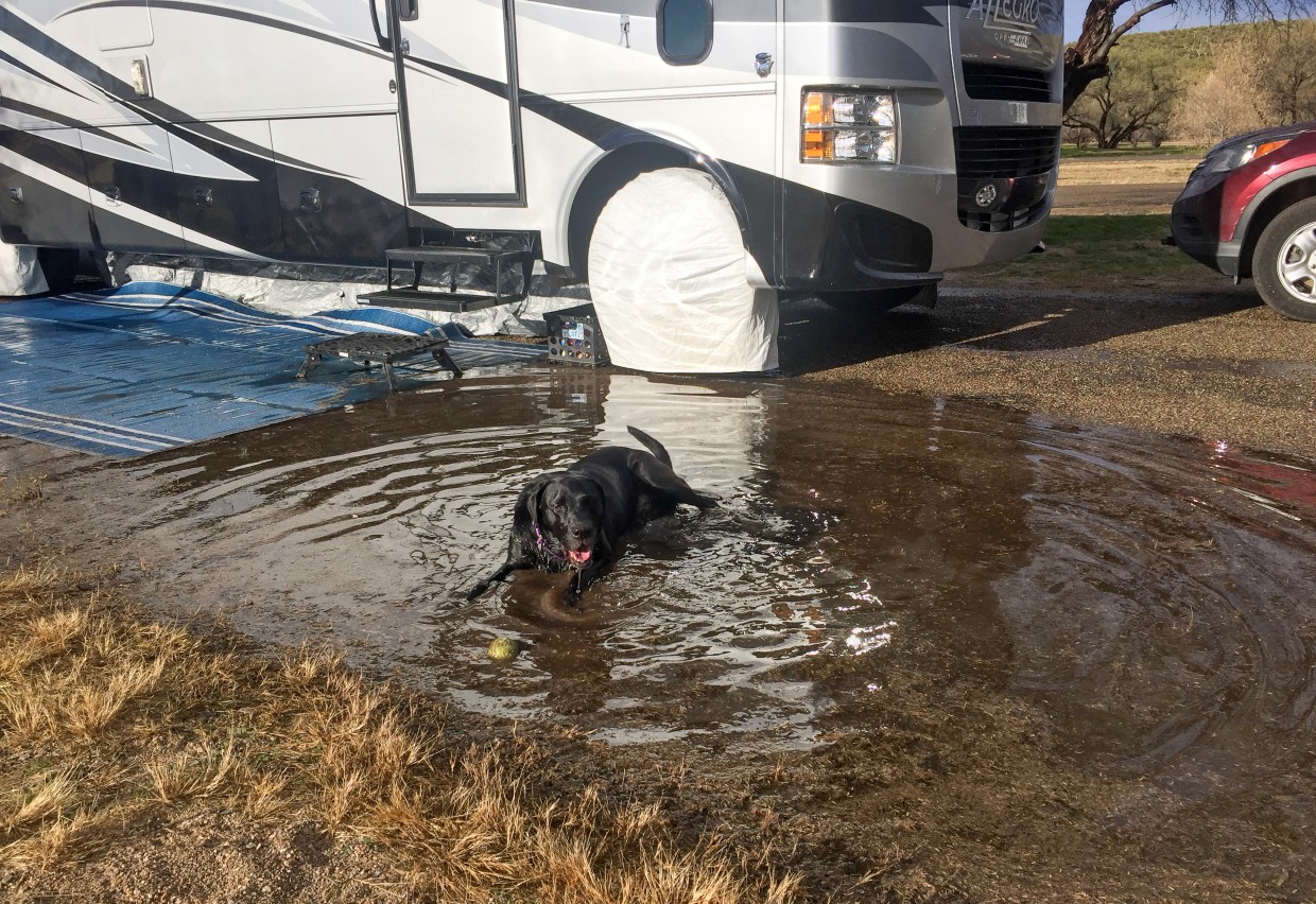 Opie's private swimmin' hole.