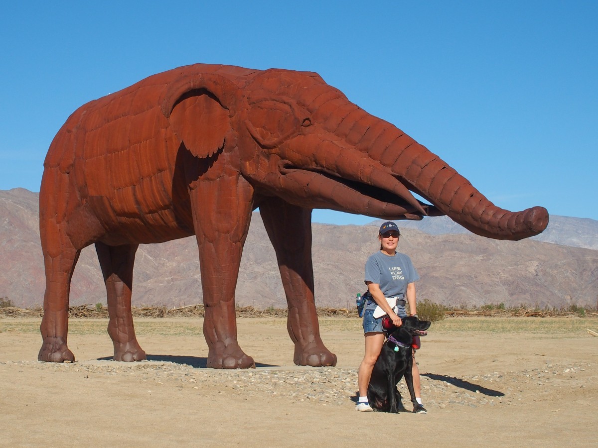 Hanging out with the mammoths...
