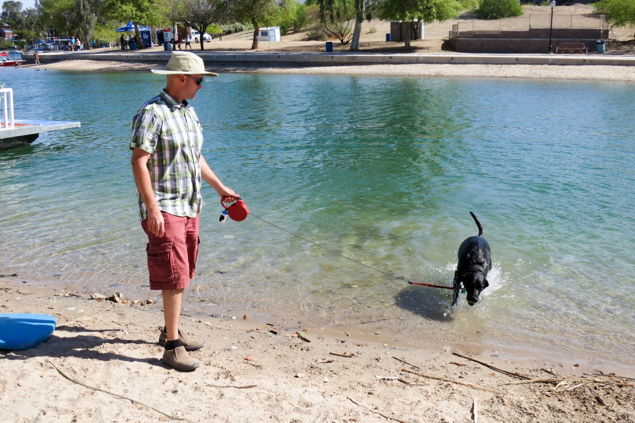 Bridgewater Channel is very dog-friendly