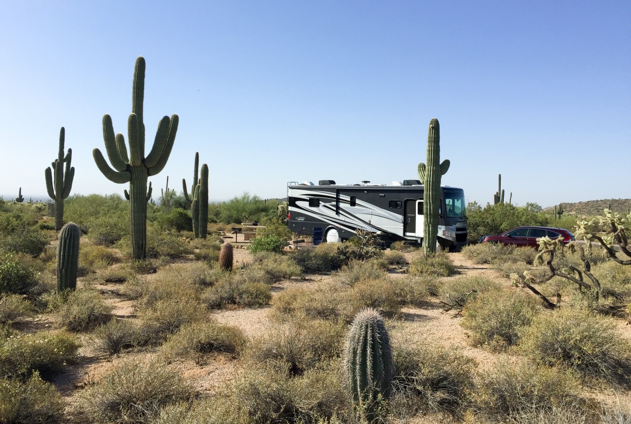 Our spot at Usery Mountain Regional Park