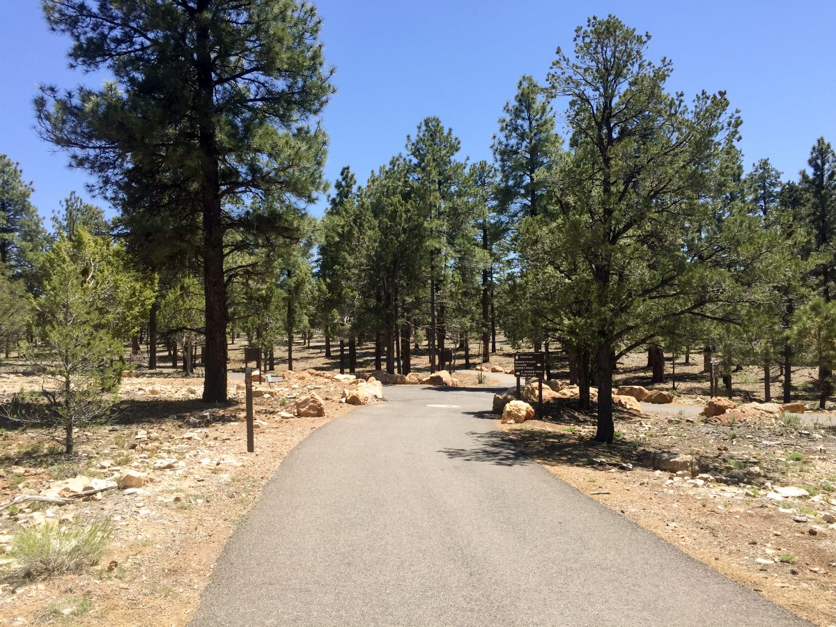 A peaceful, quiet stroll home along the Village Greenway.