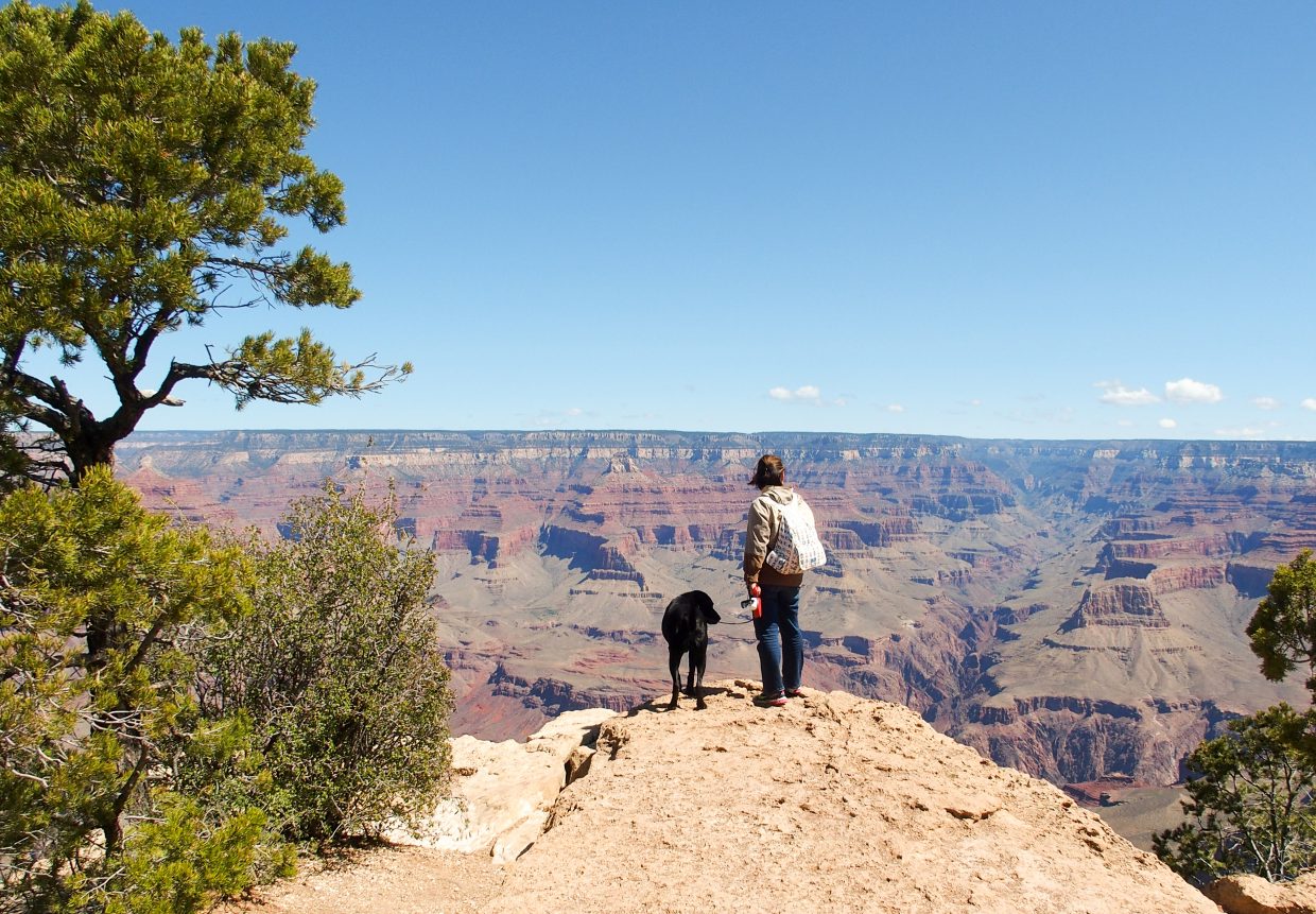 Bidding farewell to the Grand Canyon...