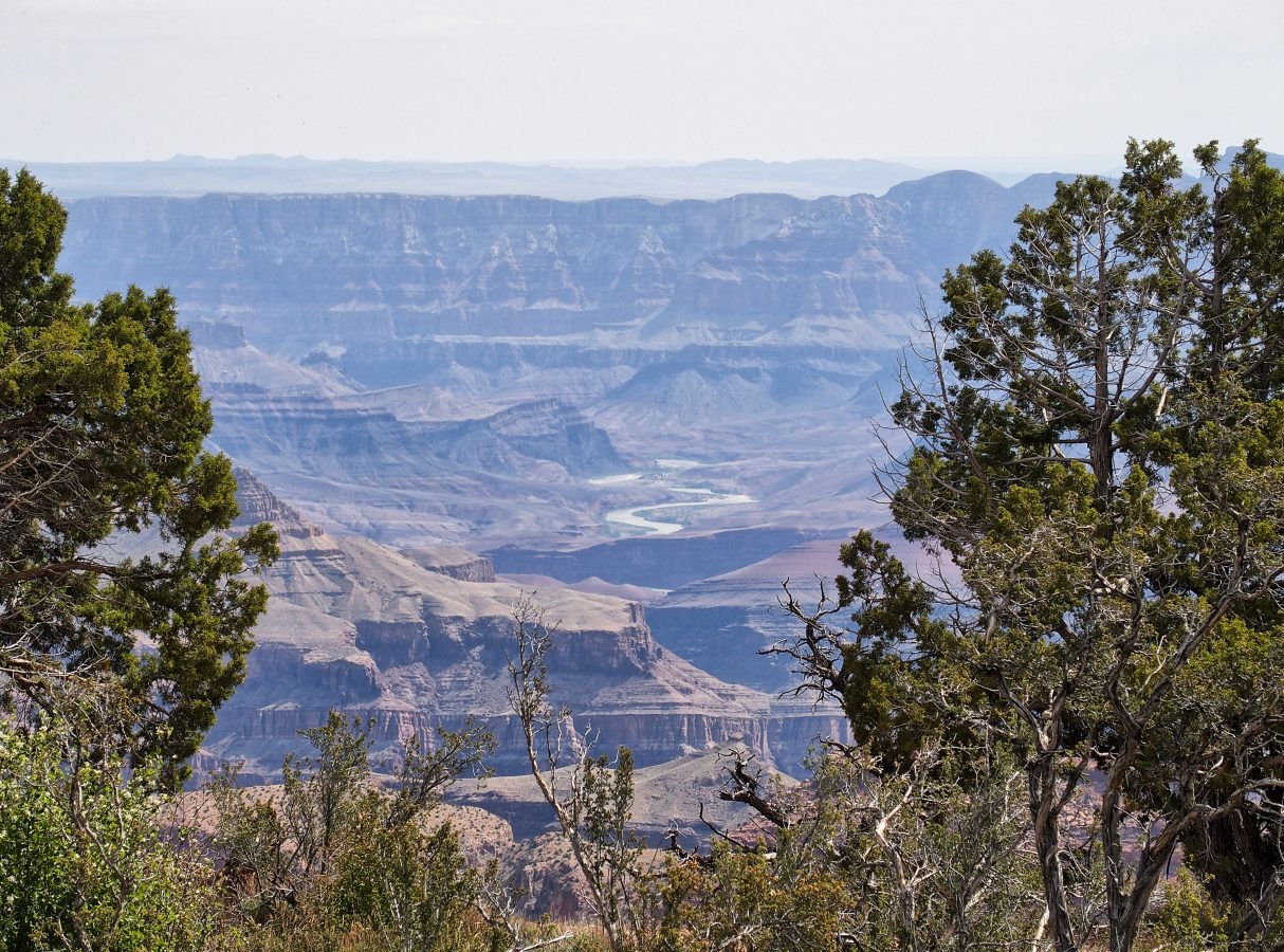 Looking west down the Colorado River