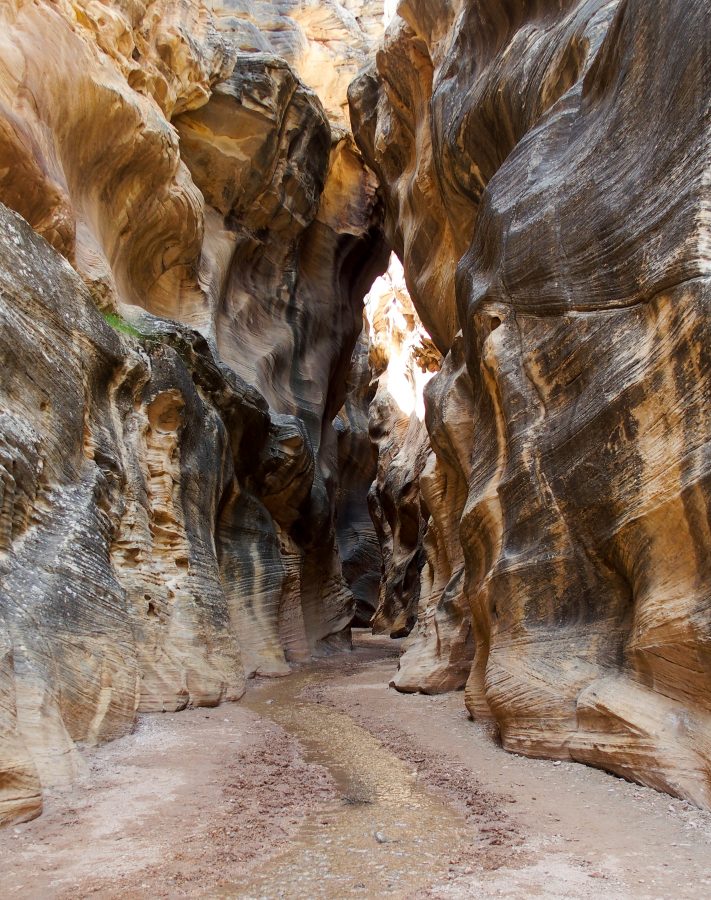 Lovely slot canyon or scary fantasy movie