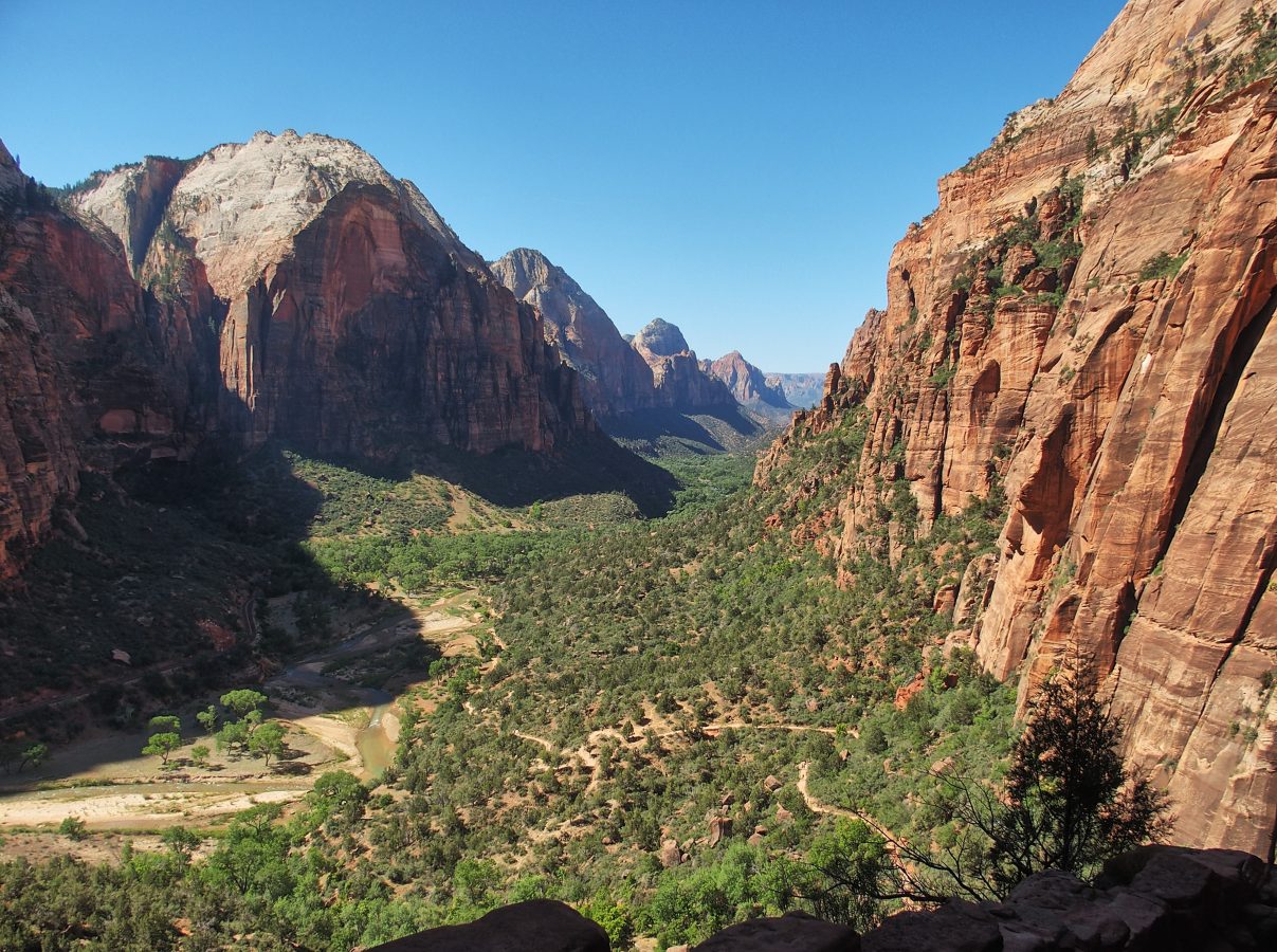 Looking back at the early (easy) part of the Angels Landing trail.