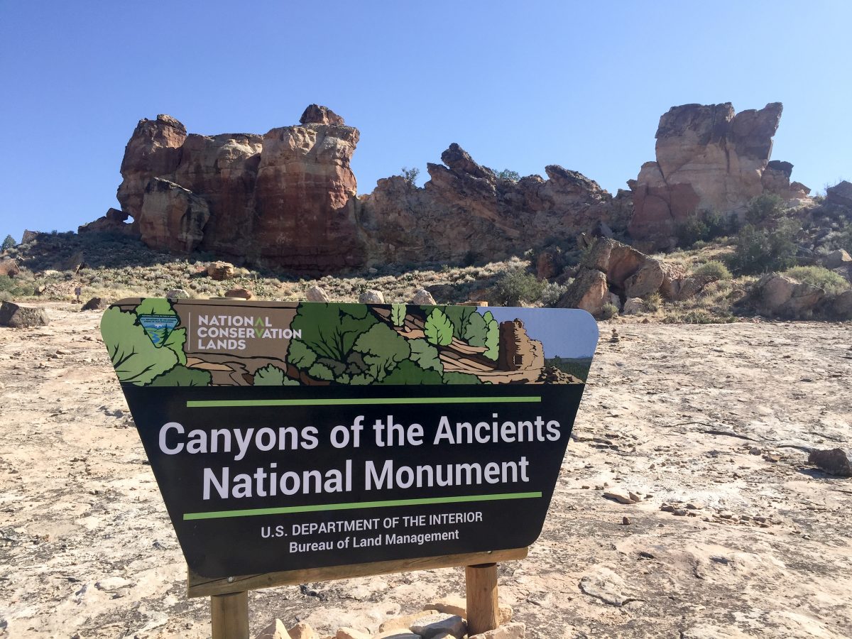 One of the many Canyons of the Ancients trailheads