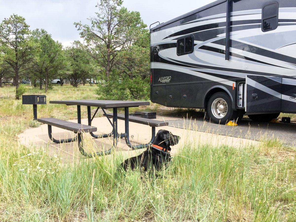 Our back-in site at Ridgway State Park.