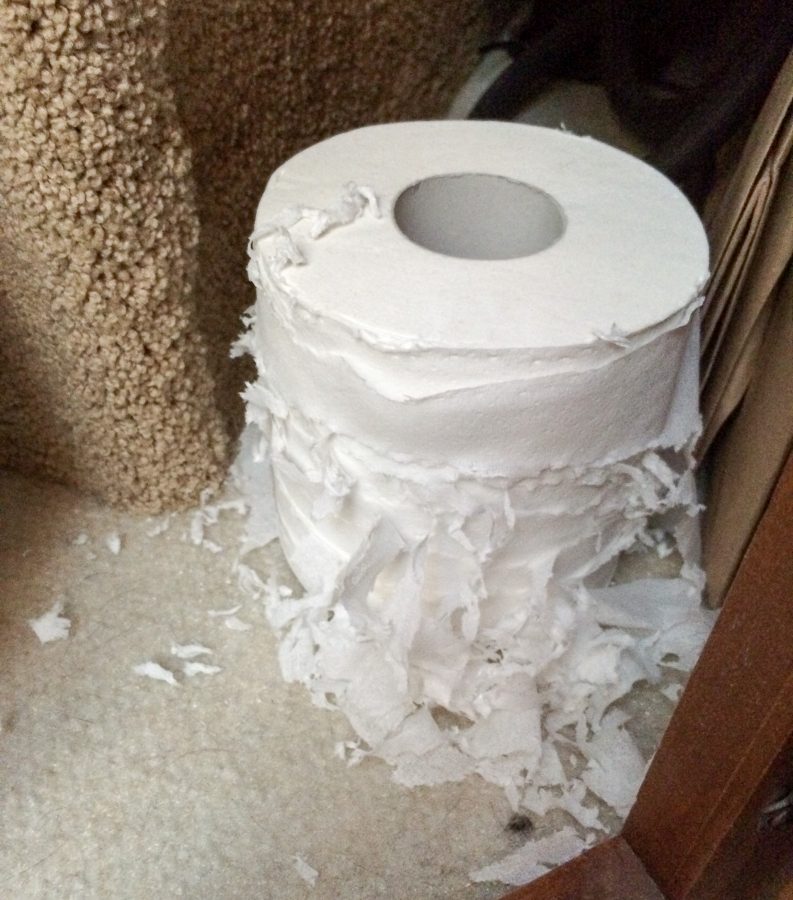 Someone's been inside our cabinets!