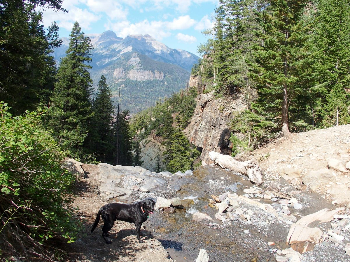 Looking over the Upper Cascade Falls