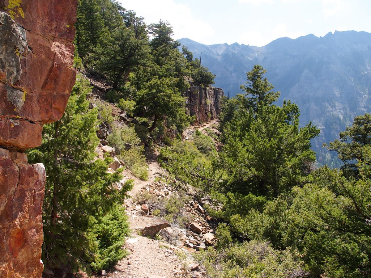 Near the top of the Upper Cascades Trail, 10,000+ feet