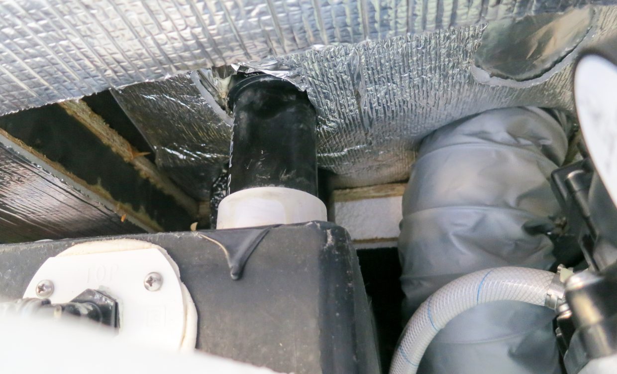 One mouse definitely followed this black sewer pipe from the basement to the bathroom.