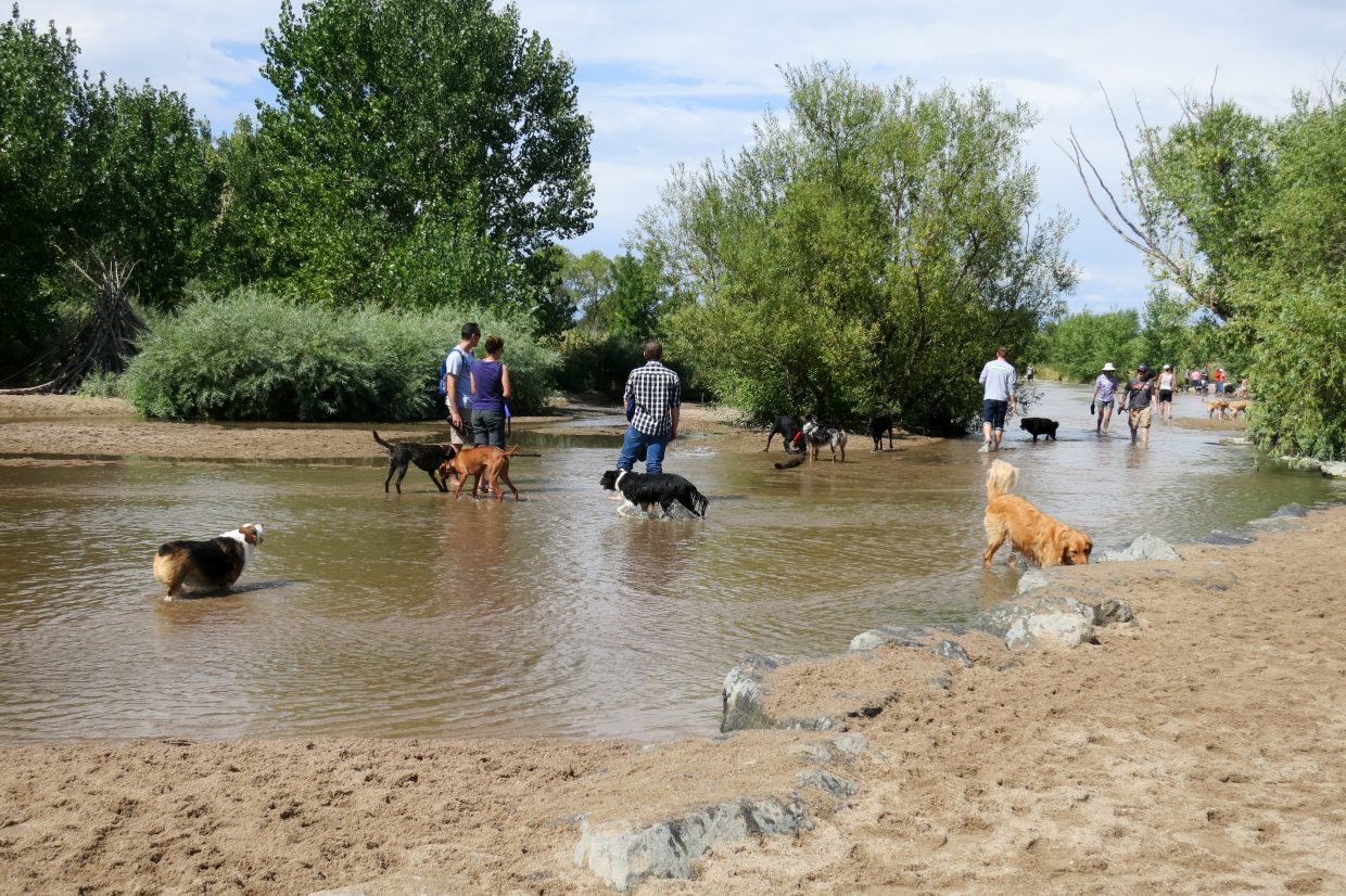 Cherry Creek Dog Park