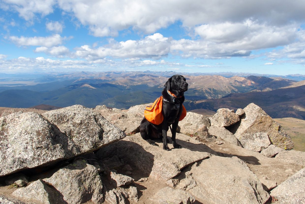 Everything the light touches is Opie's domain.