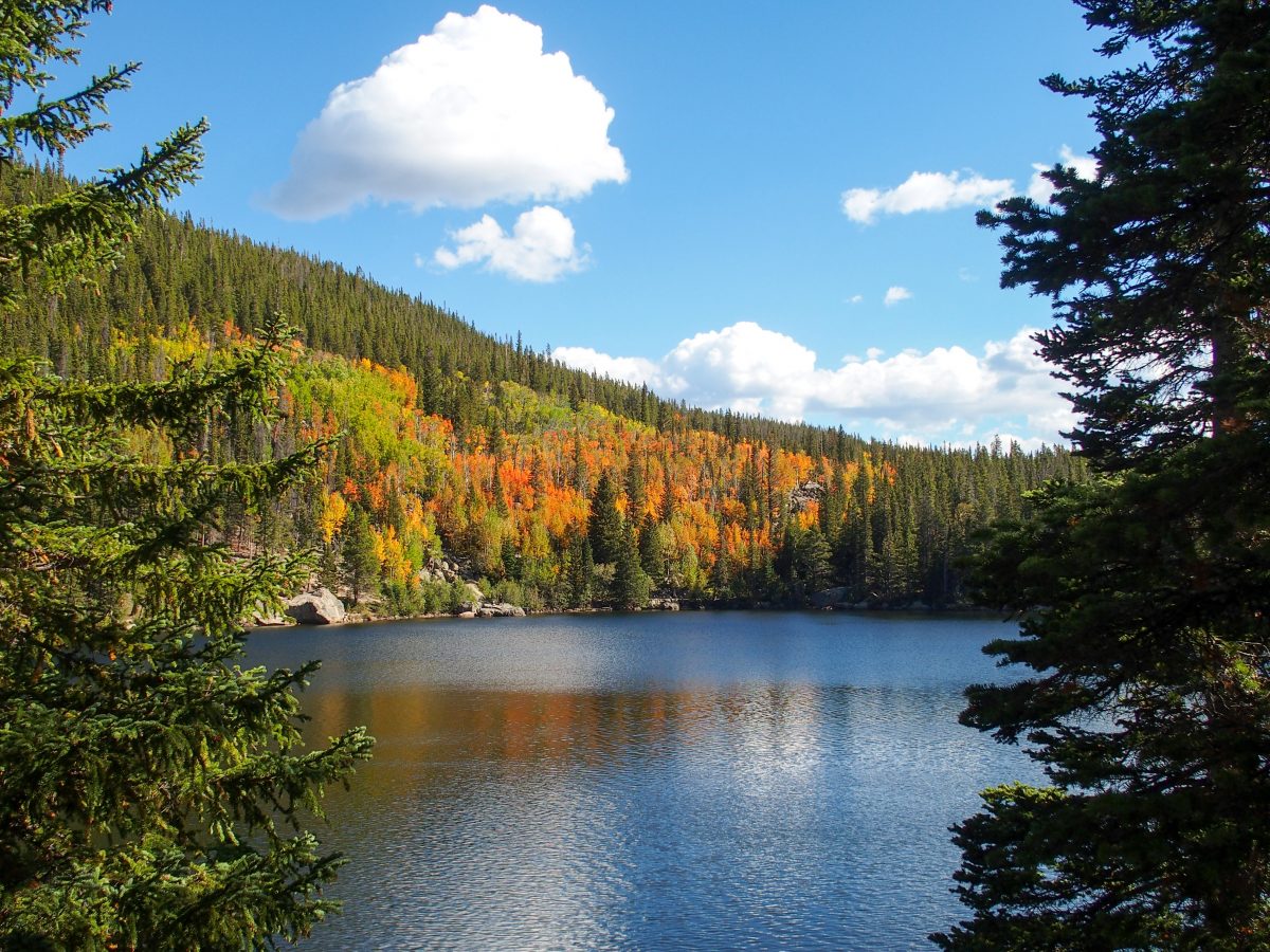 Bear Lake aspens beginning to change color