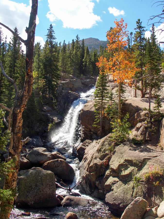 Falls